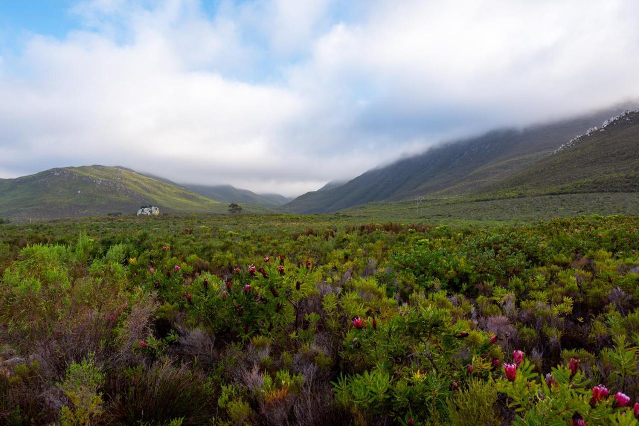 Honeyrock Cottages Kleinmond Exteriér fotografie