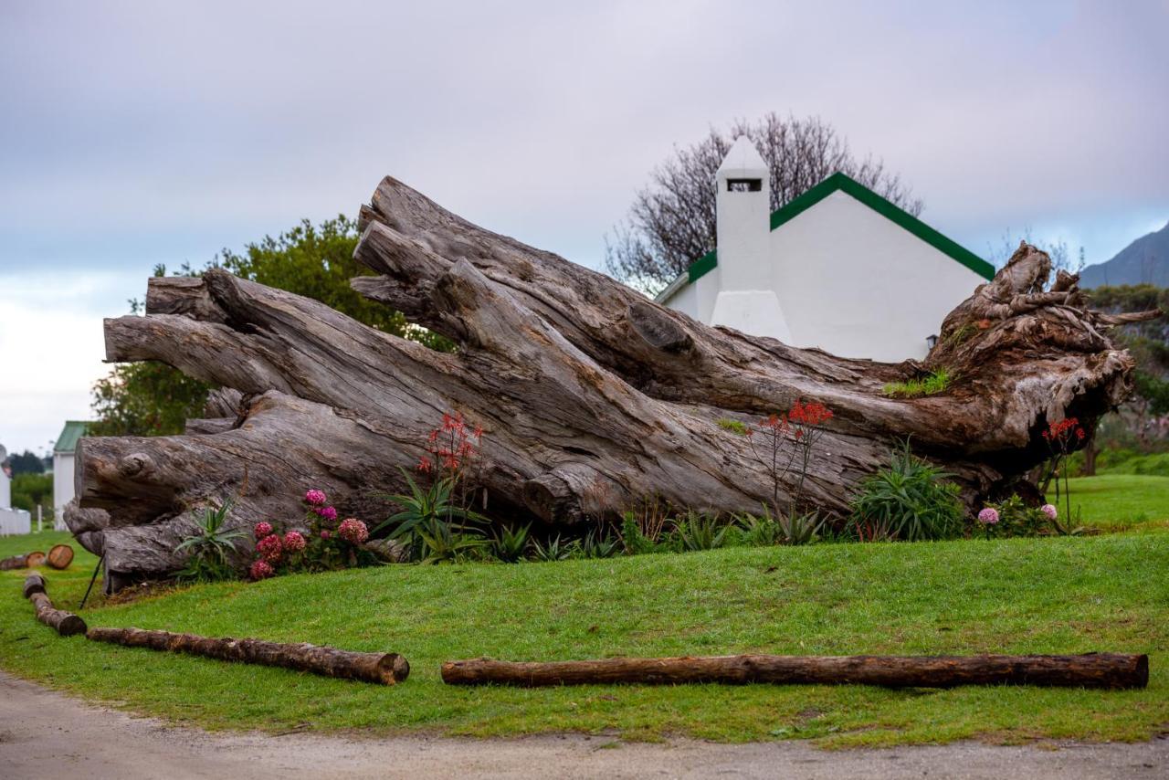 Honeyrock Cottages Kleinmond Exteriér fotografie